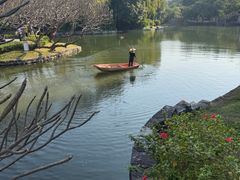 -晓港公园
