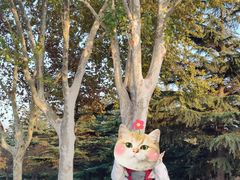 -石家庄市植物园