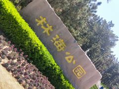 -林海公园