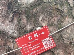 -红螺寺