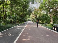 -南宁南湖公园