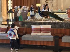 -西双版纳融创皇冠假日度假酒店