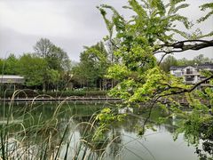 -杭州植物园