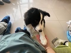 -大悦城(沈阳中街店)