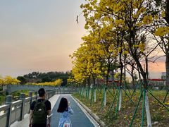 -长洲岛