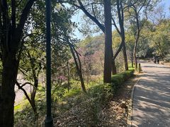 -石峰公园