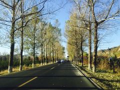 -塞罕坝国家级自然保护区