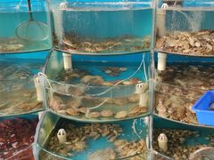 -仙螺岛海鲜自助餐厅(总店)