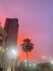 -奇幻丛林(佛罗伦萨小镇店)