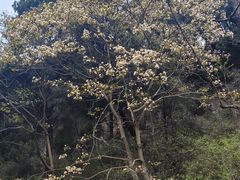 -金堂县云顶石城风景区
