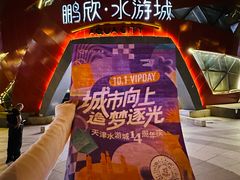 -鹏欣水游城