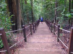 -武吉知马自然保护区