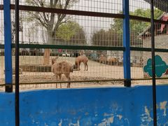 -武汉紫薇都市田园