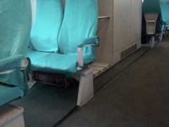 -龙阳路磁悬浮列车总站-停车场