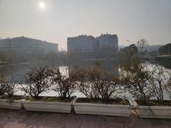 -海底捞火锅(九霄梦天地店)