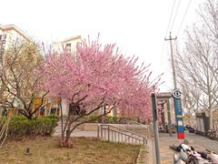 -田村(地铁站)