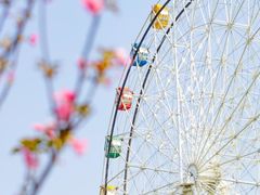 -观澜湖生态运动公社