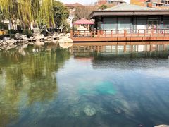 -唐城墙遗址公园
