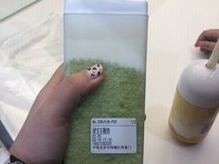 -兰熊鲜奶(西直门凯德mall店)