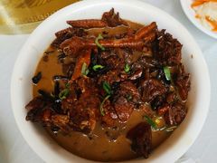 -北京白桦林彭兴全农家院