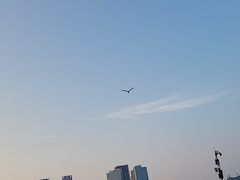 -星海广场