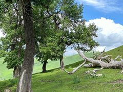 -新疆那拉提国家旅游度假区