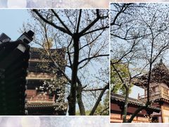 -寒山寺