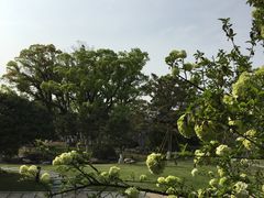 -江心屿景区