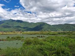 -腾冲北海湿地