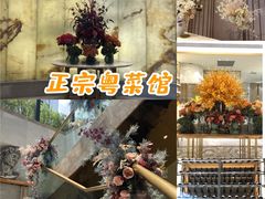 -御彩酒家(东风东路店)