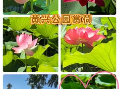 -黄兴公园