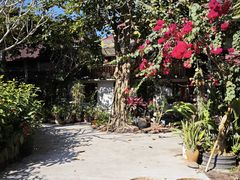 -中国科学院西双版纳热带植物园