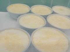 -德禄酸奶(莫家街店)