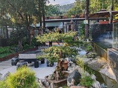 -蘇河湾·新鲁菜·泰山宴(泰山店)