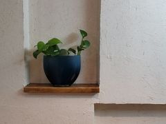 -茹·pure vegan(博华广场店)