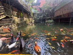 -海南槟榔谷黎苗文化旅游区