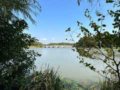 -昆山城市生态森林公园