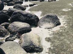 -硇洲岛旅游区