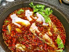 深水大鱼头-大鱼山房鱼头火锅(老字号品质店)
