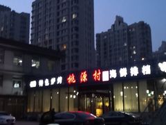 -桃源村铁锅炖鱼(体育馆道店)