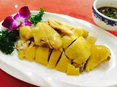 -九斤黄三黄鸡专卖店