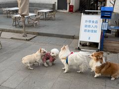-小意思咖啡店(草桥店)