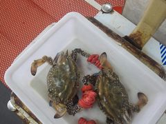 海蟹-渔民船说·北塘海鲜·天津菜·海肠捞饭(北塘古镇店)