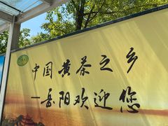 -岳阳东站
