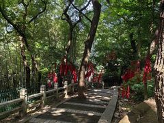 -灵岩山风景区