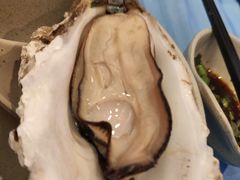 -千岛蚝高压锅生蚝·人参火锅(白云万达店)