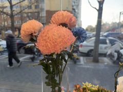 -MCJ-花店(西罗园店)