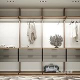 今日分享衣帽间与主卫兼得