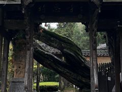 -云中大漈
