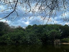 -深圳国际园林花卉博览园